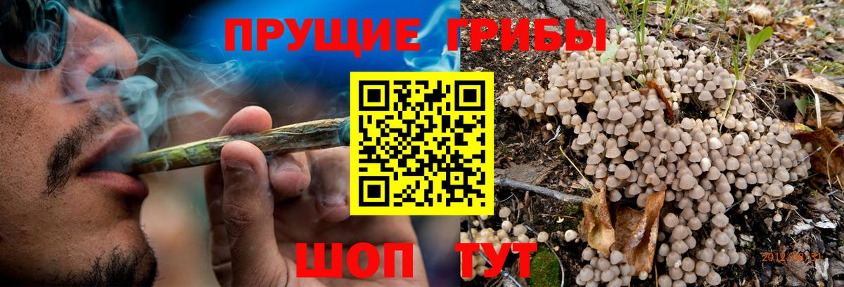 Галлюциногенные грибы мухоморы Заречный