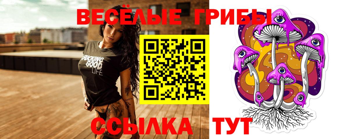 Псилоцибиновые грибы Magic Shrooms  где найти   Заречный  Вход с VPN 